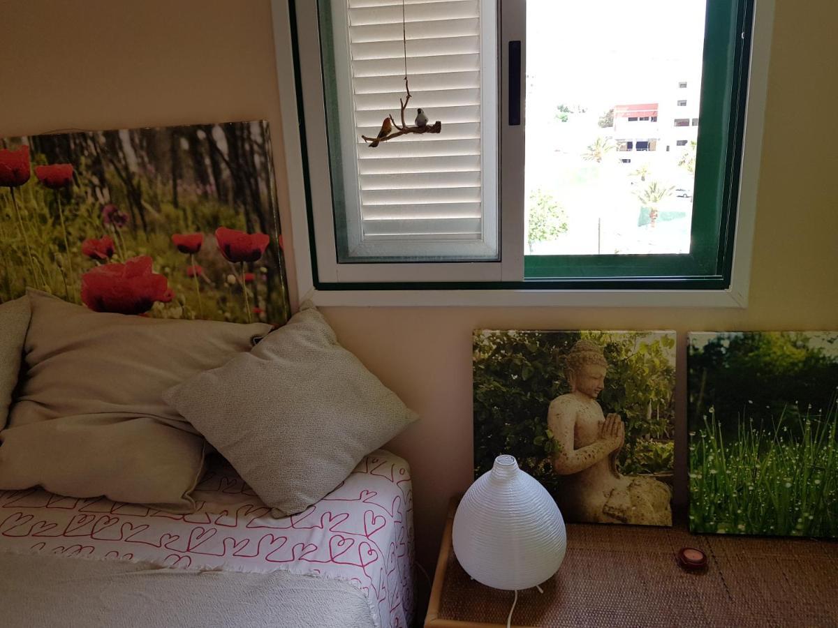 The Poppies Guest House - 100M Ocean - Private Spaces Candelaria Bagian luar foto