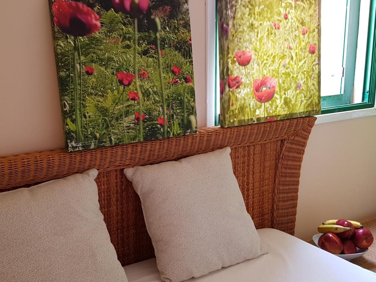 The Poppies Guest House - 100M Ocean - Private Spaces Candelaria Bagian luar foto