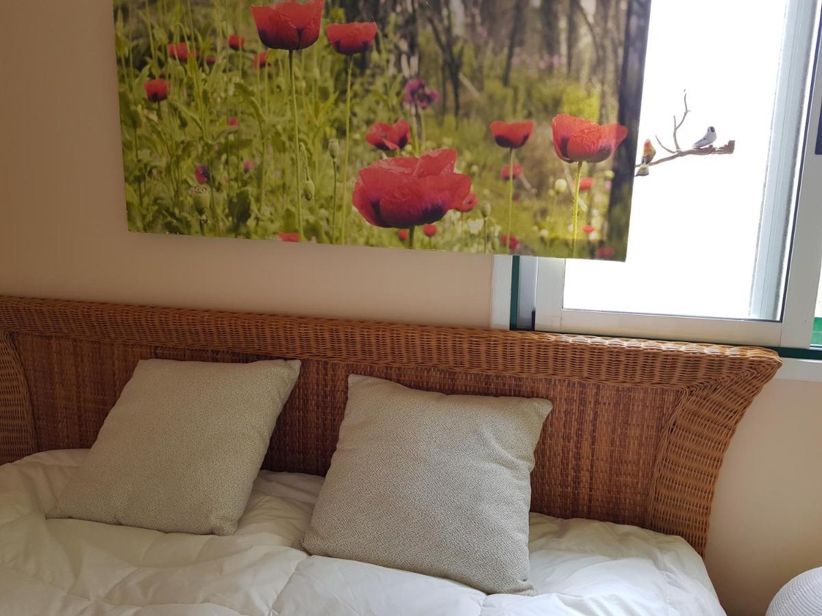 The Poppies Guest House - 100M Ocean - Private Spaces Candelaria Bagian luar foto