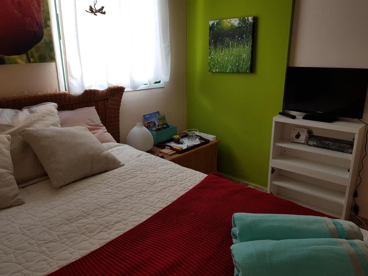 The Poppies Guest House - 100M Ocean - Private Spaces Candelaria Bagian luar foto
