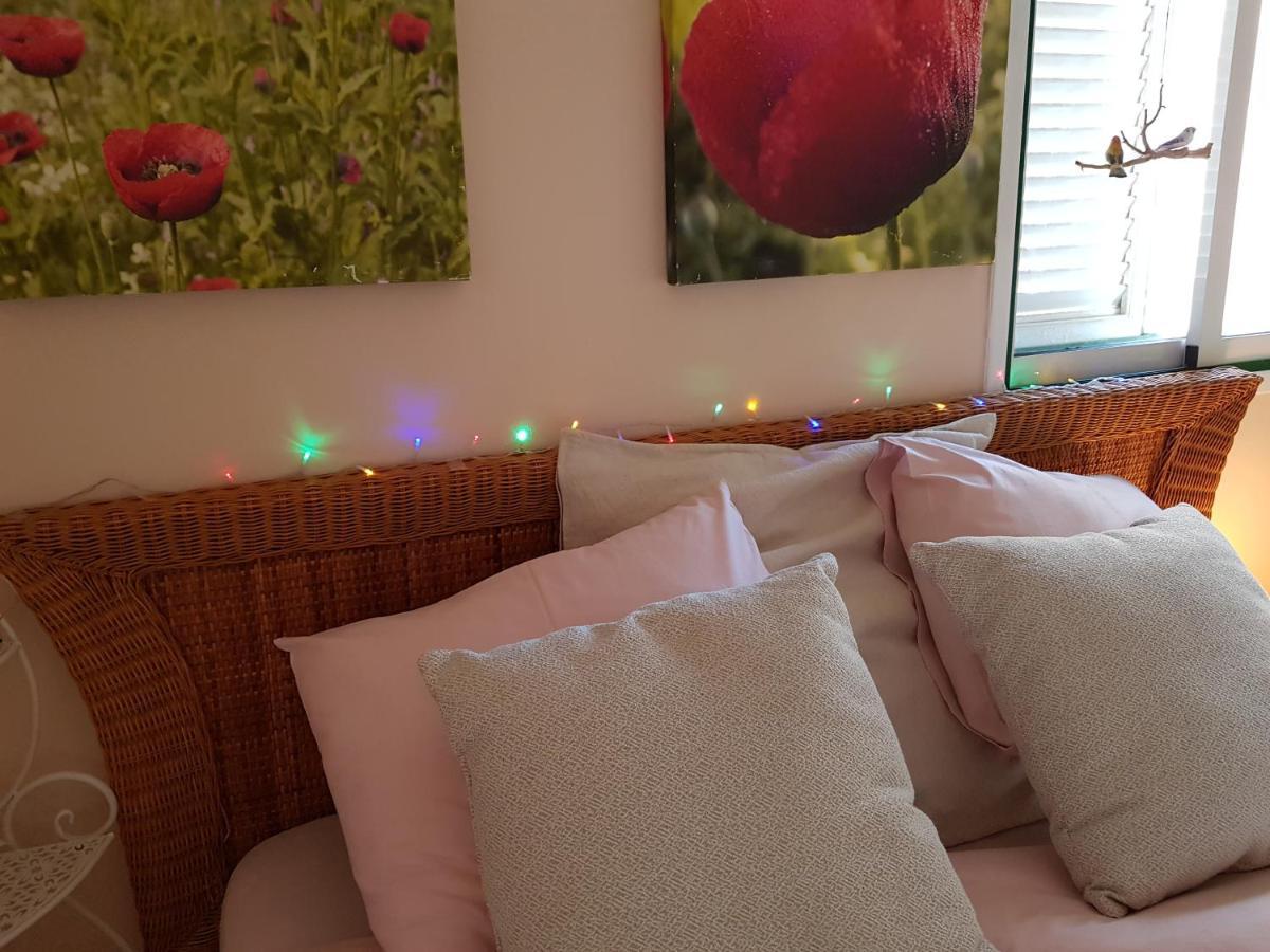 The Poppies Guest House - 100M Ocean - Private Spaces Candelaria Bagian luar foto