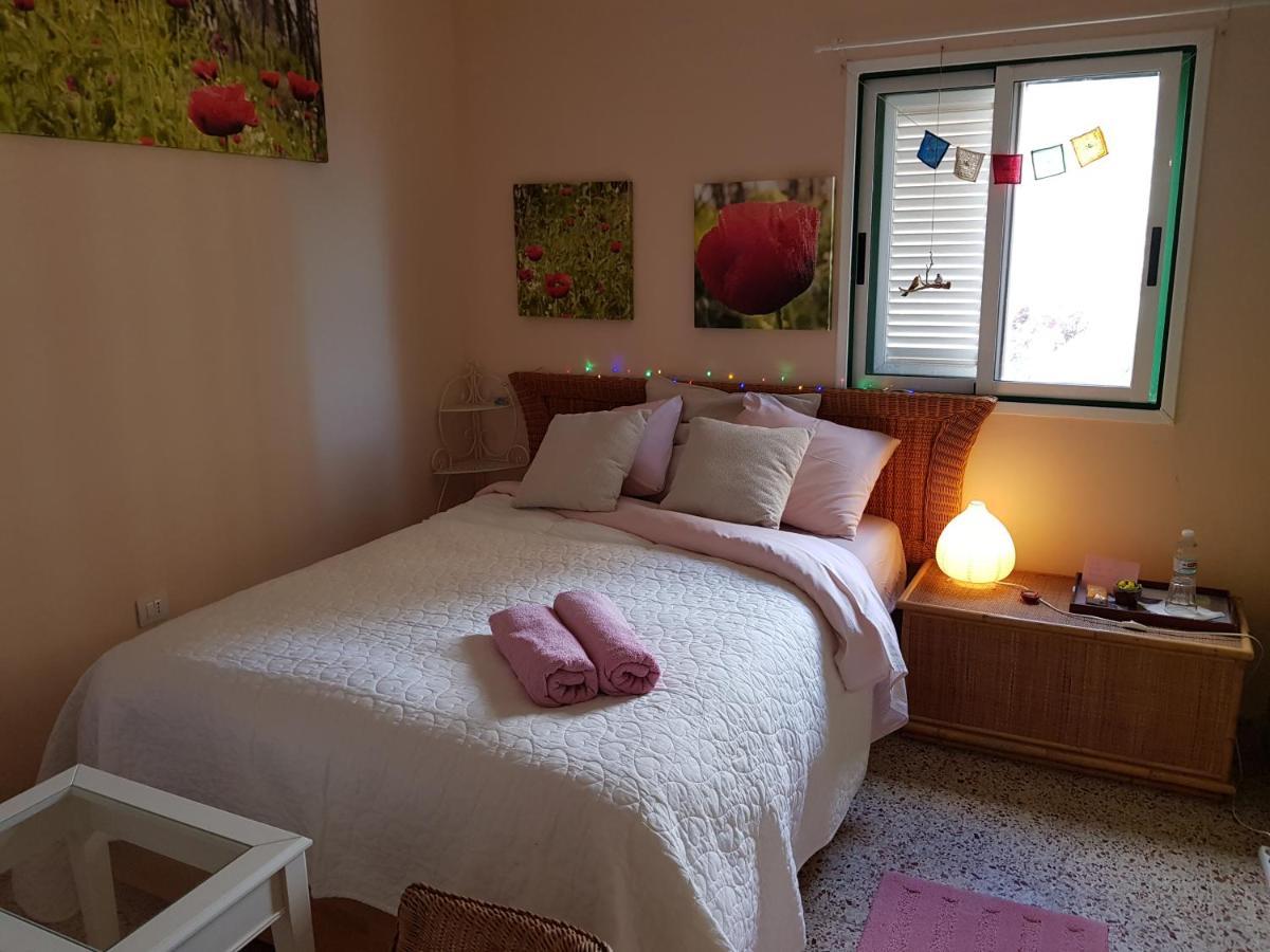 The Poppies Guest House - 100M Ocean - Private Spaces Candelaria Bagian luar foto