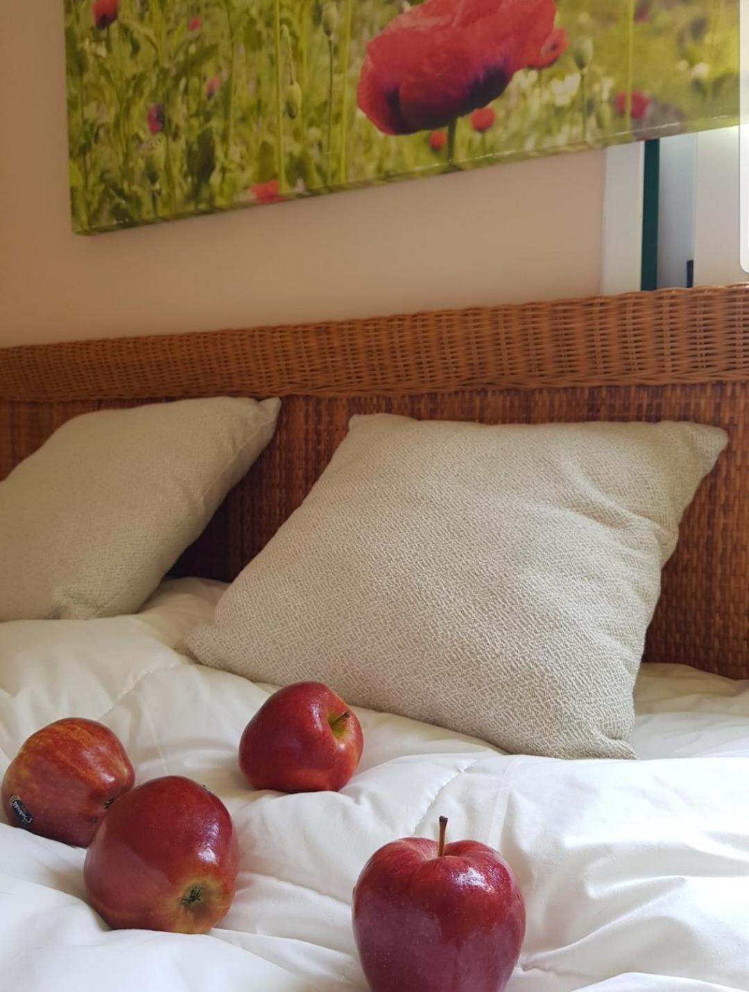 The Poppies Guest House - 100M Ocean - Private Spaces Candelaria Bagian luar foto